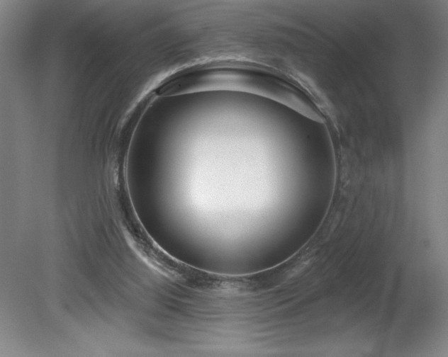 X0000082160060200701191252