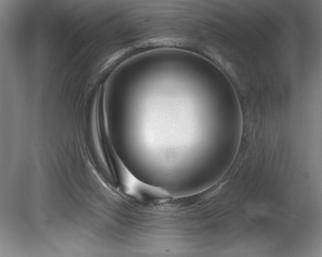X0000082160062200701191252