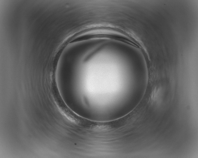 X0000082160063200701191252