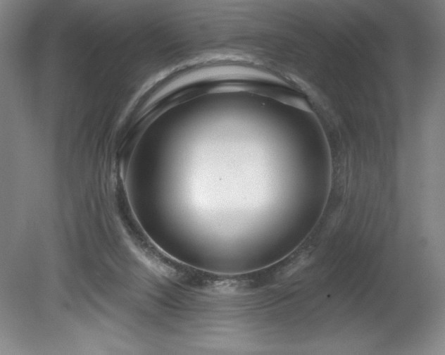 X0000082160064200701191252