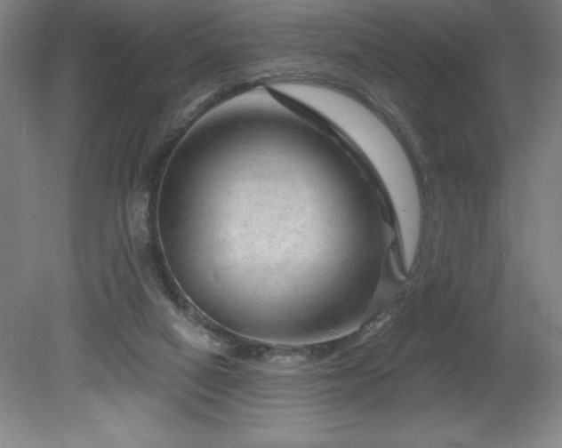 X0000082160066200701191252