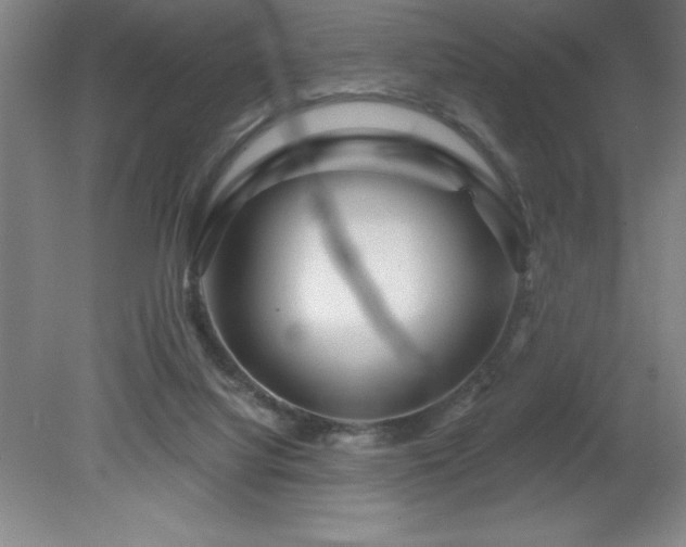 X0000082160068200701191252