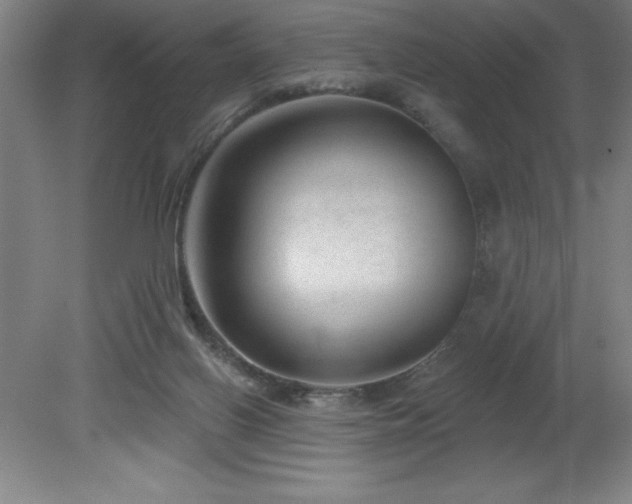 X0000082160070200701191252