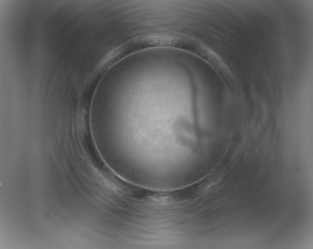 X0000082160071200701191252