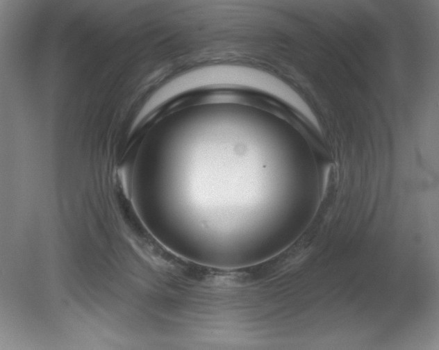 X0000082160072200701191252