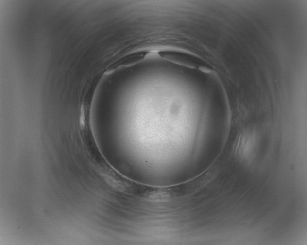 X0000082160075200701191252