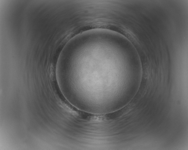 X0000082160077200701191252