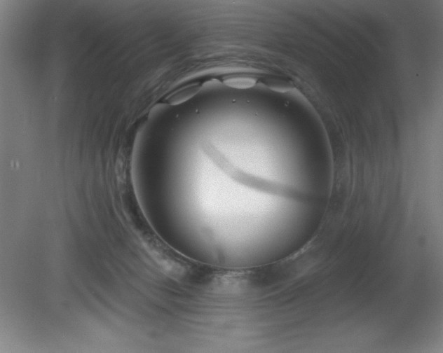 X0000082160078200701191252