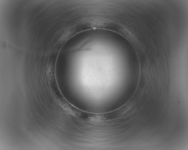 X0000082160079200701191252