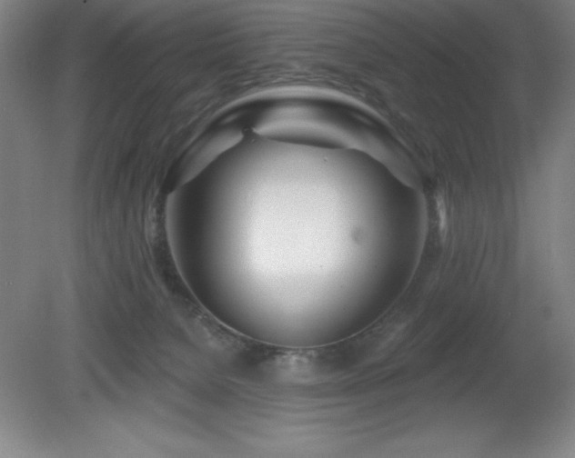 X0000082160080200701191252