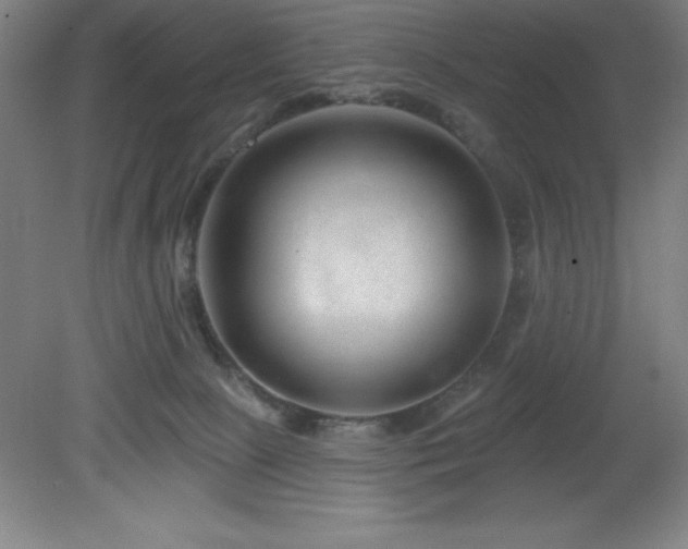 X0000082160081200701191252