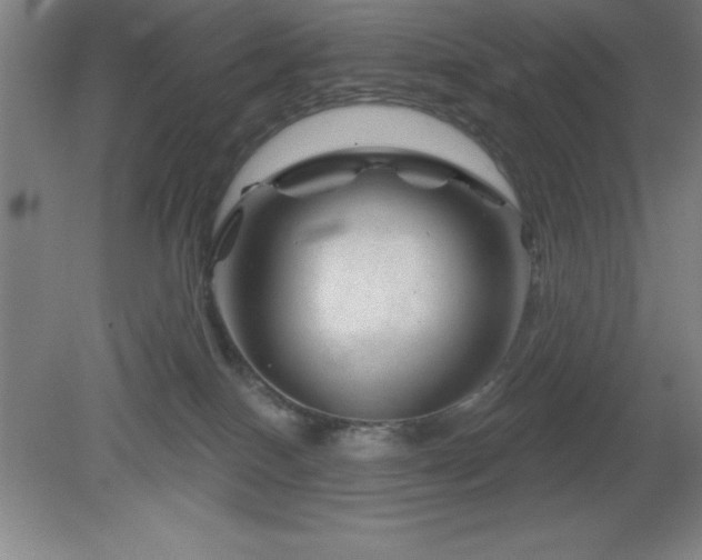 X0000082160086200701191253