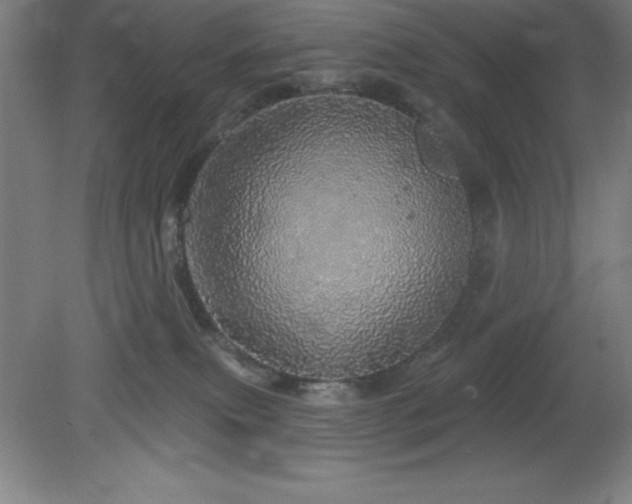 X0000082160087200701191253