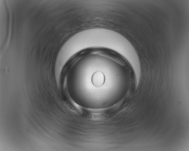 X0000082160088200701191253