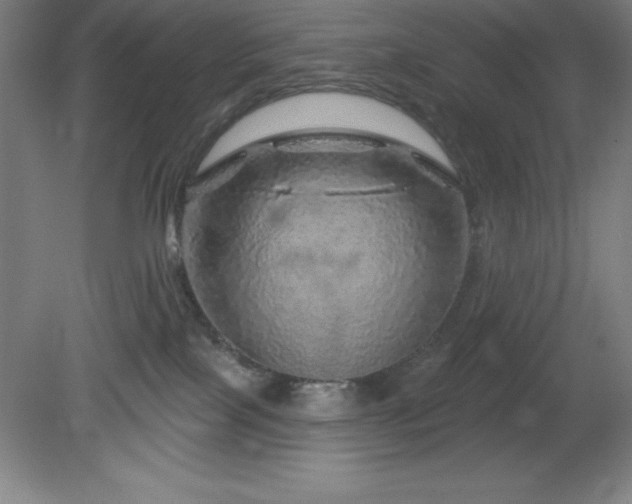 X0000082160089200701191253