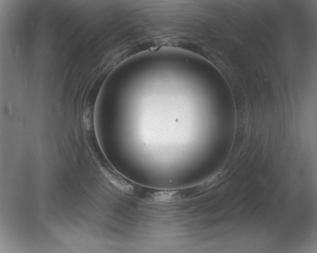 X0000082160090200701191253