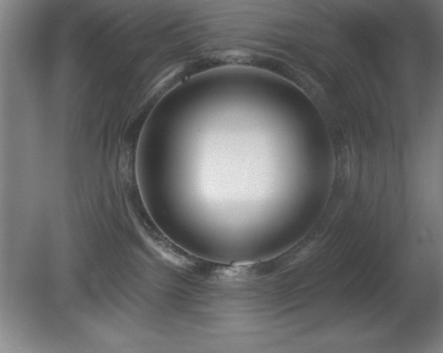 X0000082160092200701191253