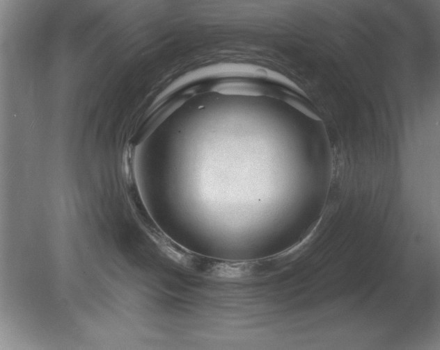 X0000082160094200701191253
