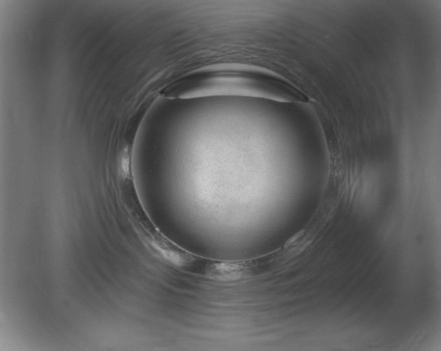 X0000082160095200701191253