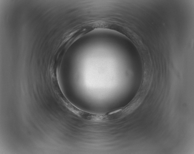 X0000082160096200701191253