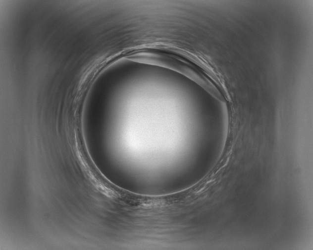 X0000082160097200701191252