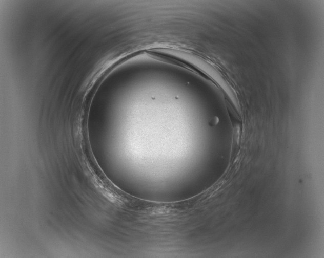 X0000082160098200701191252