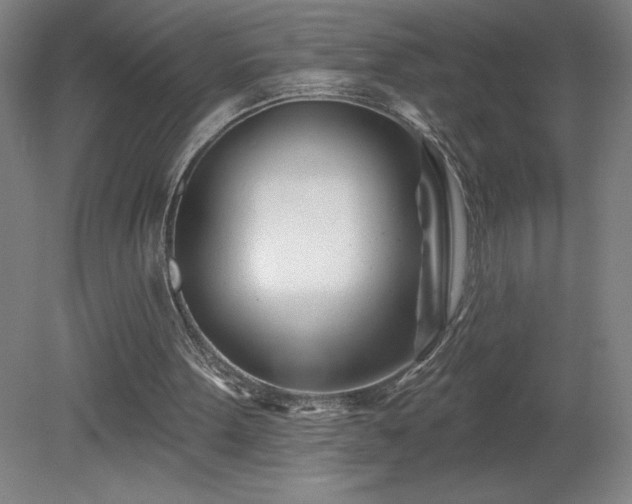 X0000082160099200701191252