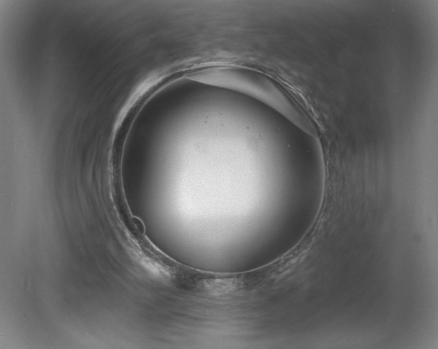 X0000082160102200701191252