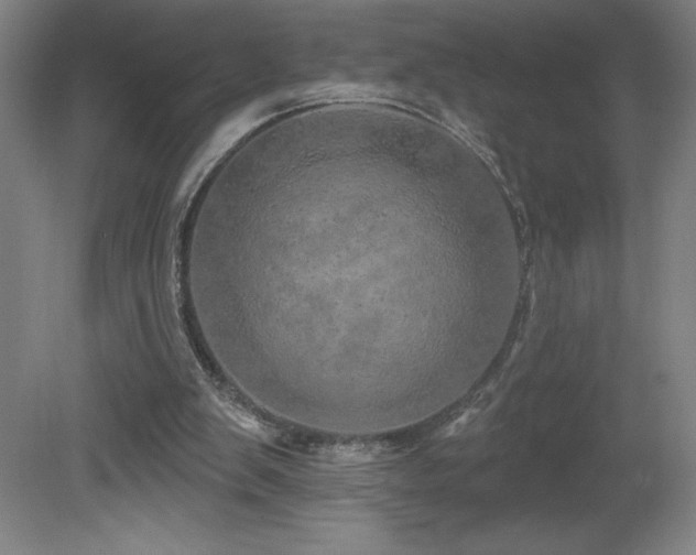 X0000082160103200701191252