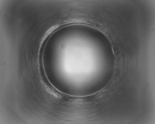 X0000082160104200701191252