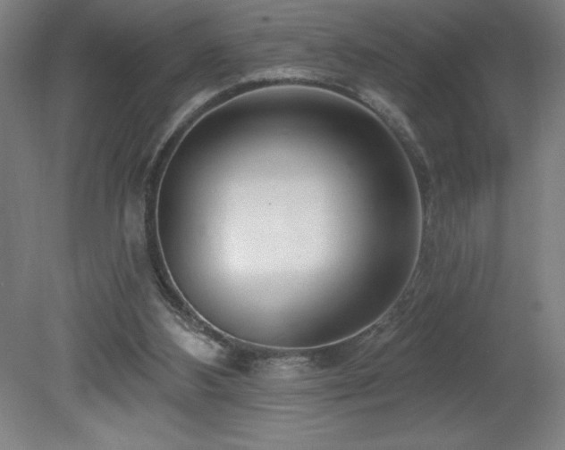 X0000082160108200701191252