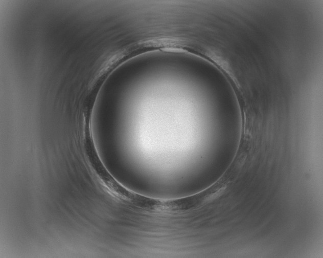 X0000082160109200701191252