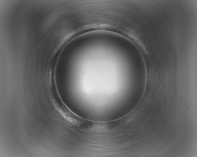 X0000082160110200701191252