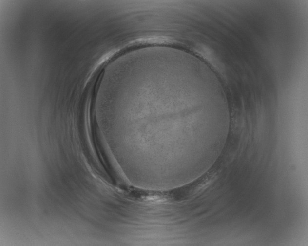 X0000082160111200701191252