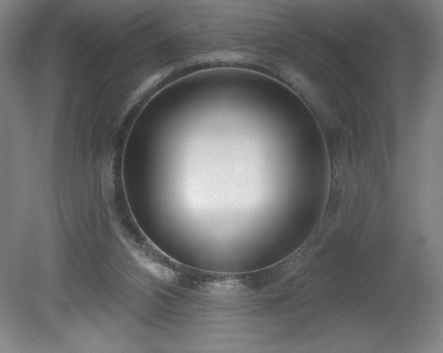 X0000082160112200701191252