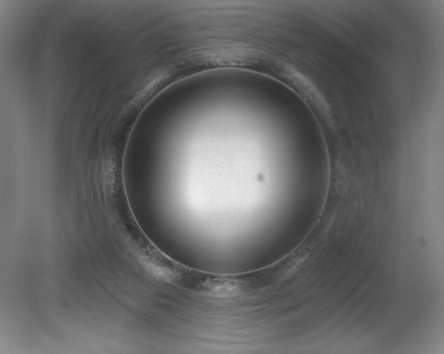 X0000082160113200701191252