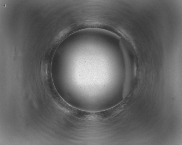 X0000082160115200701191252