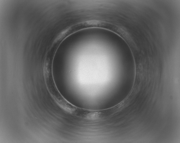 X0000082160116200701191252