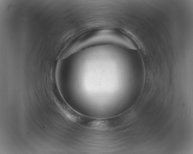 X0000082160117200701191252