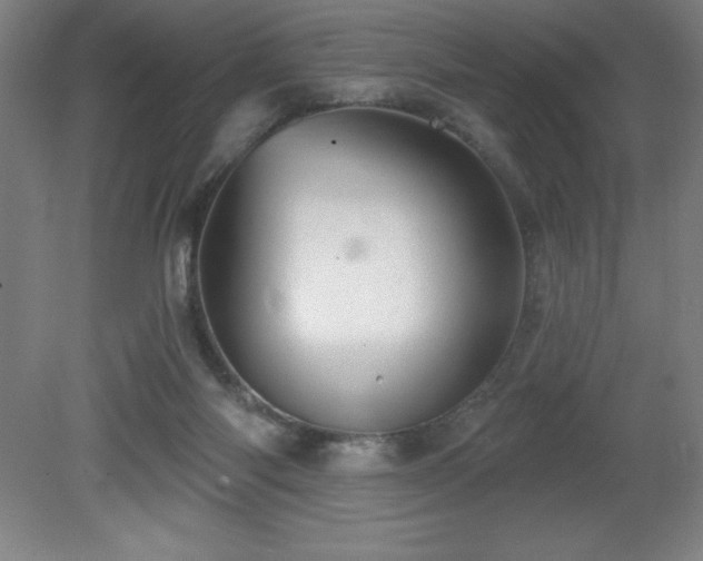 X0000082160118200701191252