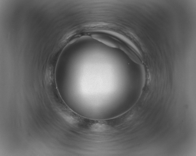 X0000082160119200701191252