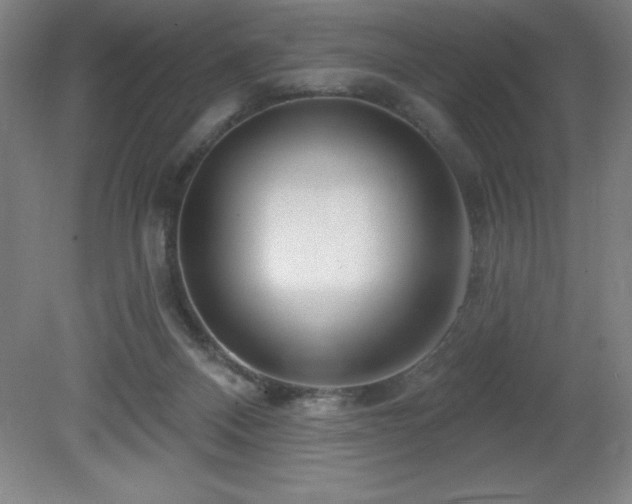 X0000082160120200701191251
