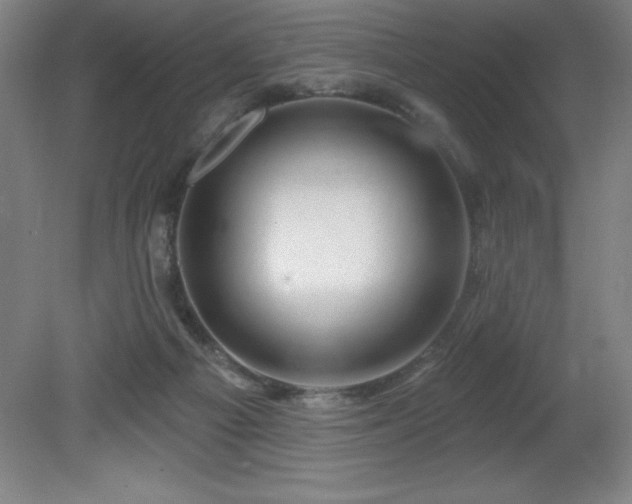 X0000082160121200701191251