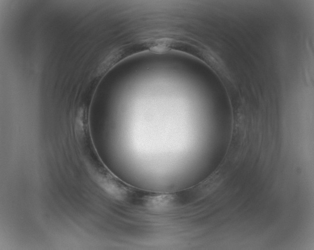 X0000082160122200701191251