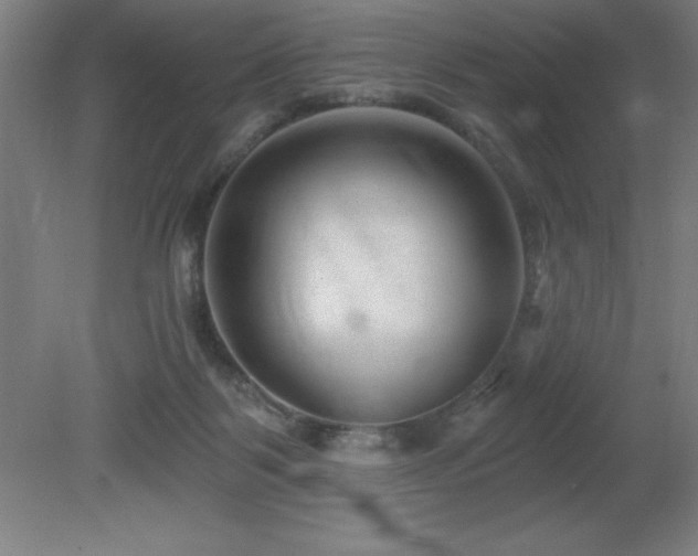 X0000082160123200701191251