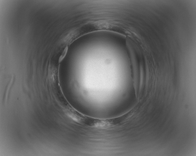 X0000082160125200701191251