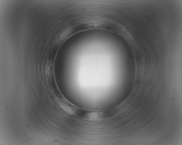 X0000082160126200701191251