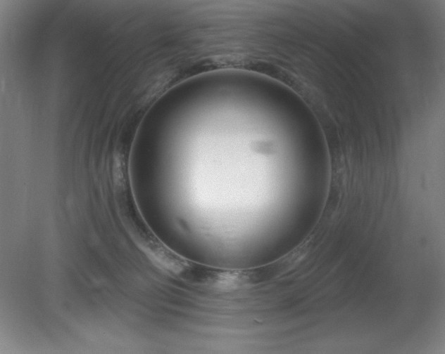 X0000082160130200701191251