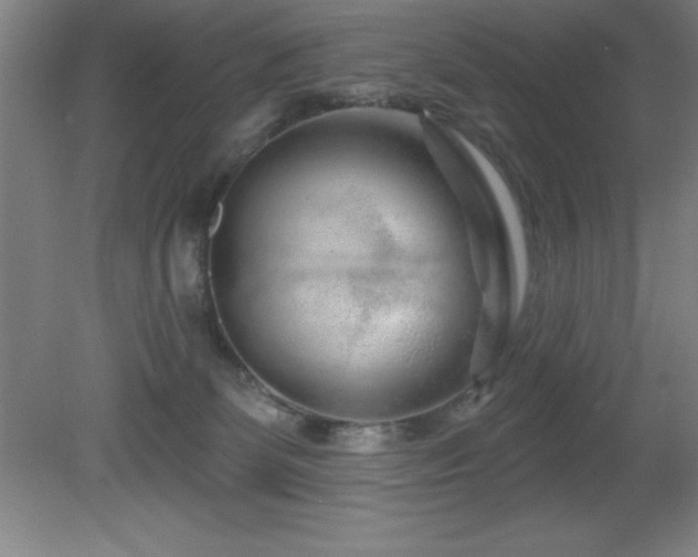 X0000082160131200701191251