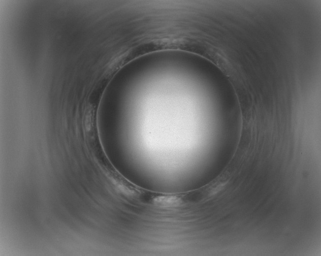 X0000082160133200701191251